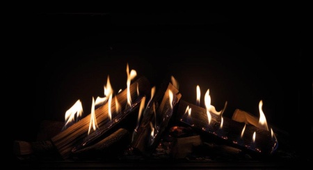 Газовый камин Schmid Lina G 67